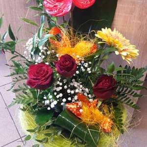 Meet your Posher, Kazimierz